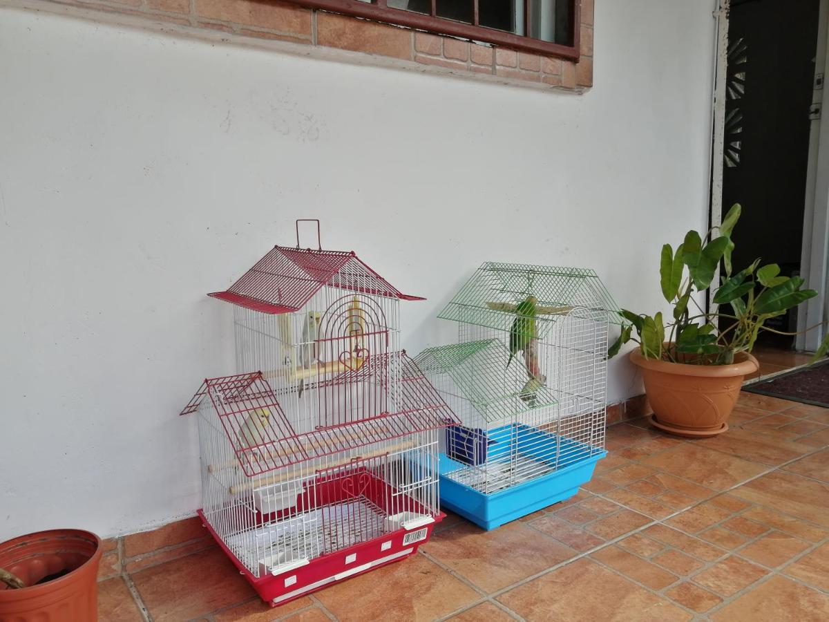 Casa Hostal Bouva El Valle de Anton Εξωτερικό φωτογραφία